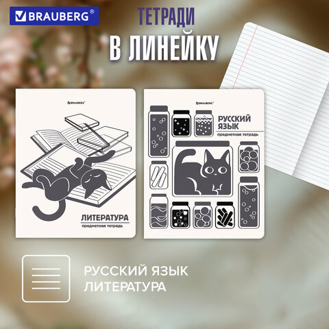 Тетради предметные, КОМПЛЕКТ 12 ПРЕДМЕТОВ 48 л., пластиковая обложка, BRAUBERG «КОТ-НЕПОСЕДА»