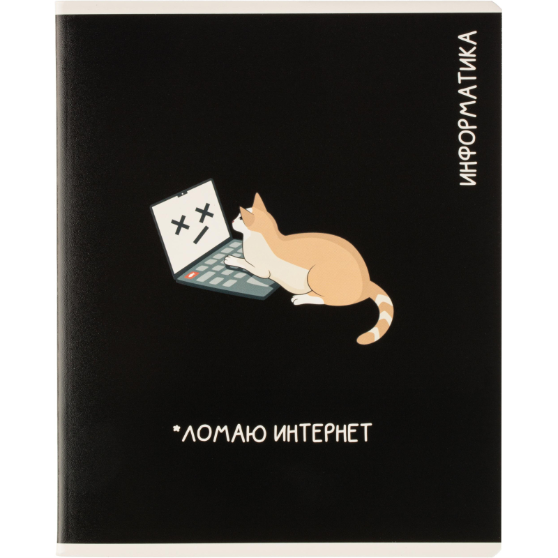 Тетрадь предметная КОТЫ МЕМЫ, набор12 шт.48л, А5+, клетка/линия/71449