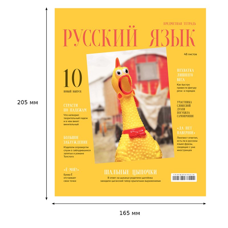 Тетрадь предметная 48л. BG «Скандальности» - Русский язык, глянцевая ламинация