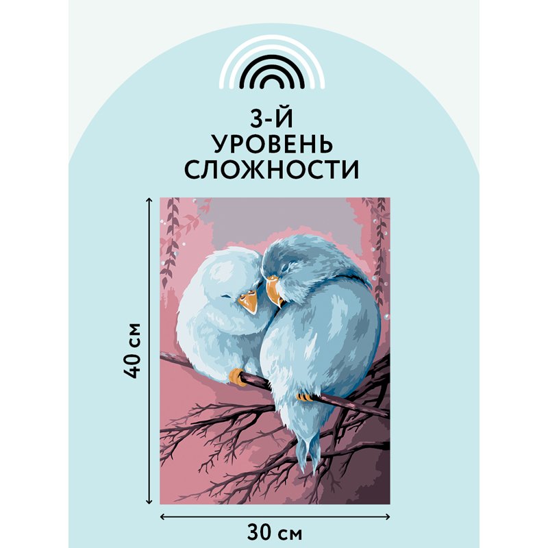 Картина по номерам на холсте ТРИ СОВЫ «Милая пара», 30×40, с акриловыми красками и кистями