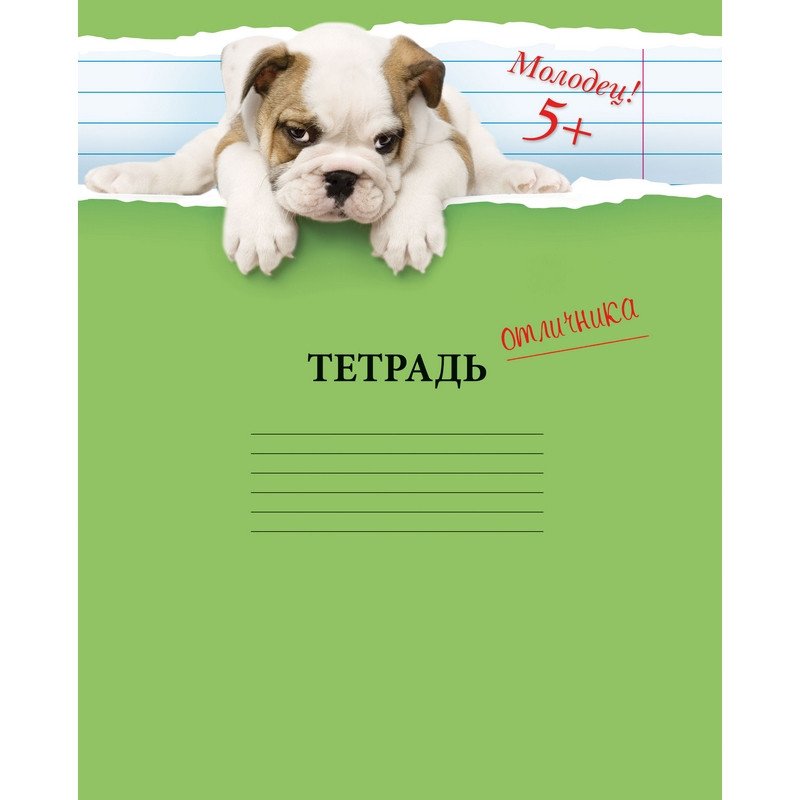 тетрадь щенок. тетрадь с собакой. щенки 10 штук. тетрадь с собакой. тетради с щенками.