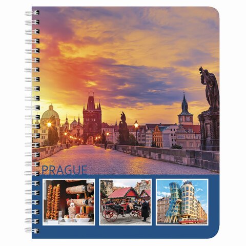 Тетрадь А5, 96 л., BRAUBERG, гребень, клетка, обложка картон, СТРАНЫ