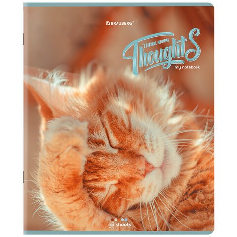 Тетради ДЭК А5 96 л. КОМПЛЕКТ 5 шт., BRAUBERG скоба, клетка, матовая ламинация, «Котики»