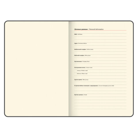 Еженедельник датированный 2026 А5 145×215 мм, BRAUBERG «Augustus», под кожу, красный