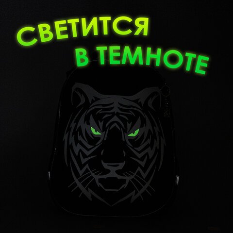 Ранец BRAUBERG SHINY, 2 отделения, «Tiger», СВЕТЯЩИЙСЯ РИСУНОК, 36×28х14 см