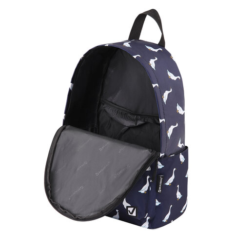 Рюкзак BRAUBERG POSITIVE универсальный, карман-антивор, «Ducks», 42×28х14 см