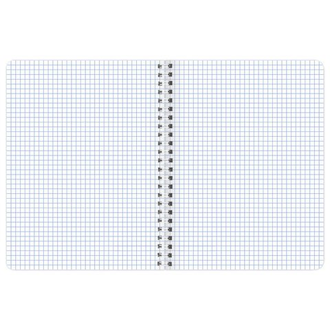 Тетради ДЭК А5 48 л. КОМПЛЕКТ 4 шт., BRAUBERG, гребень, клетка, TWIN лак, «Карпы Кои»