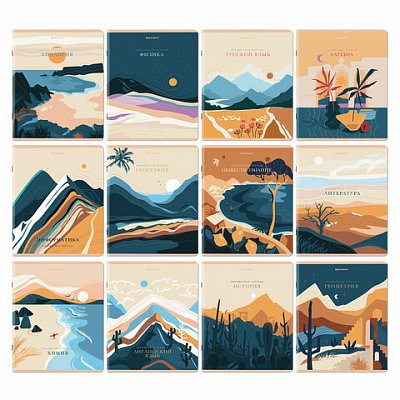 Тетради предметные, КОМПЛЕКТ 12 ПРЕДМЕТОВ, «ELEGANCE», 48 л., SoftTouch, фольга, BRAUBERG