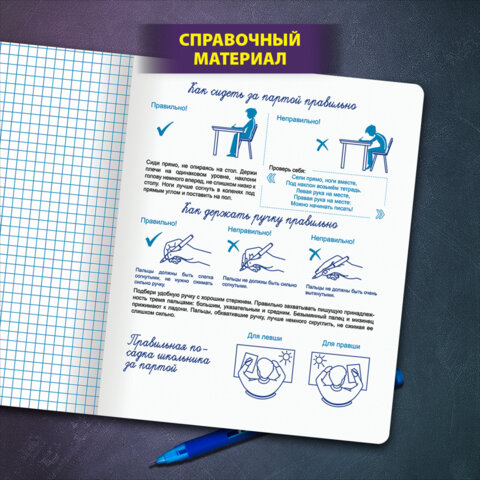 Тетради ДЭК 12 л. КОМПЛЕКТ 10 шт. ПРОПИСЬ № 6 клетка, со справочным материалом, ЮНЛАНДИЯ