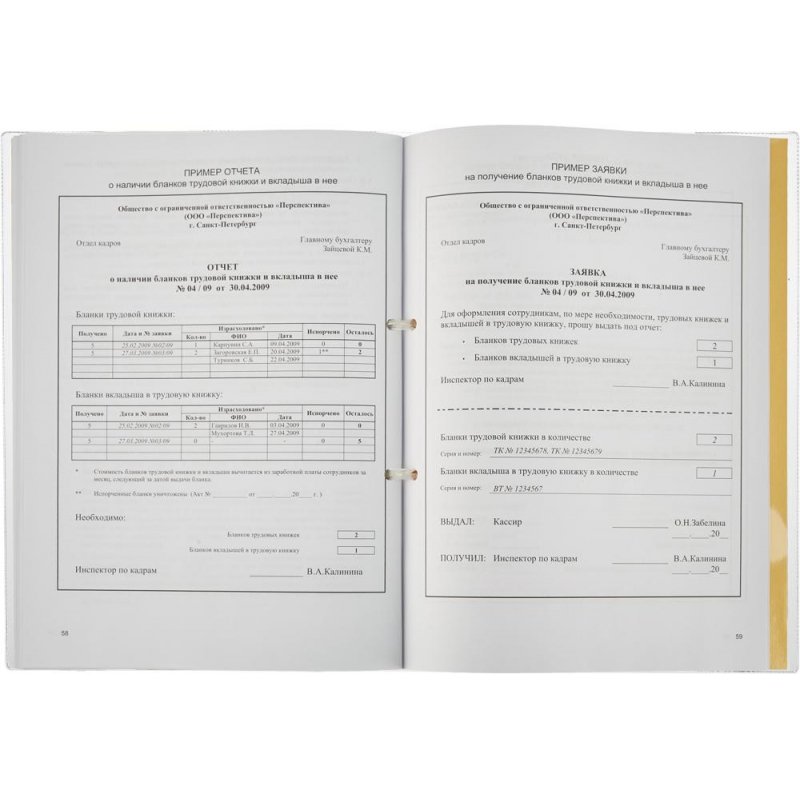 Приходно-расходная книга по учету бланков трудовой книжки, 64листа