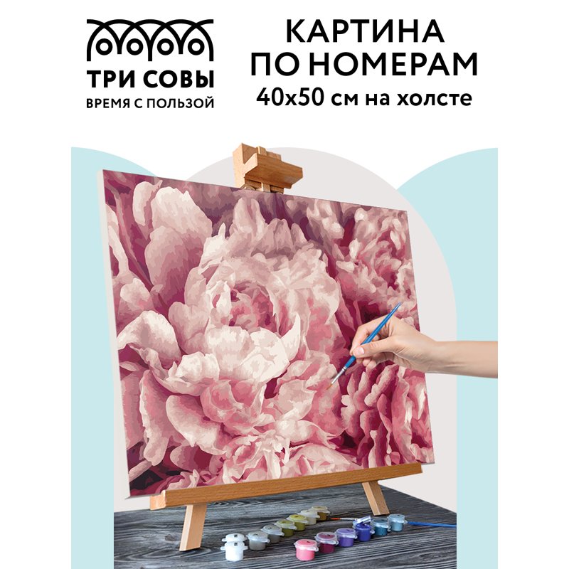 Картина по номерам на холсте ТРИ СОВЫ «Нежные пионы», 40×50, с акриловыми красками и кистями