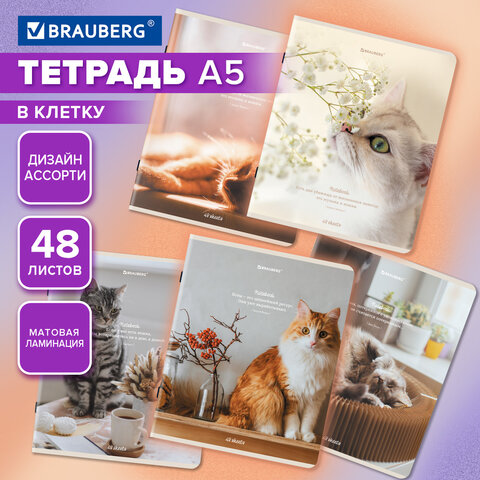 Тетрадь А5, 48 л., BRAUBERG, скоба, клетка, матовая ламинация, «Cats», (микс в спайке)