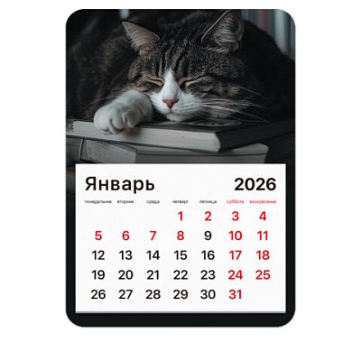Календарь отрывной на магните на 2026 г., BRAUBERG, 130×180 мм, склейка, «Спящий кот»