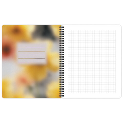 Тетради ДЭК А5 48 л. КОМПЛЕКТ 4 шт., BRAUBERG, гребень, клетка, 80 г/м2, Soft-Touch, «Aesthetics»