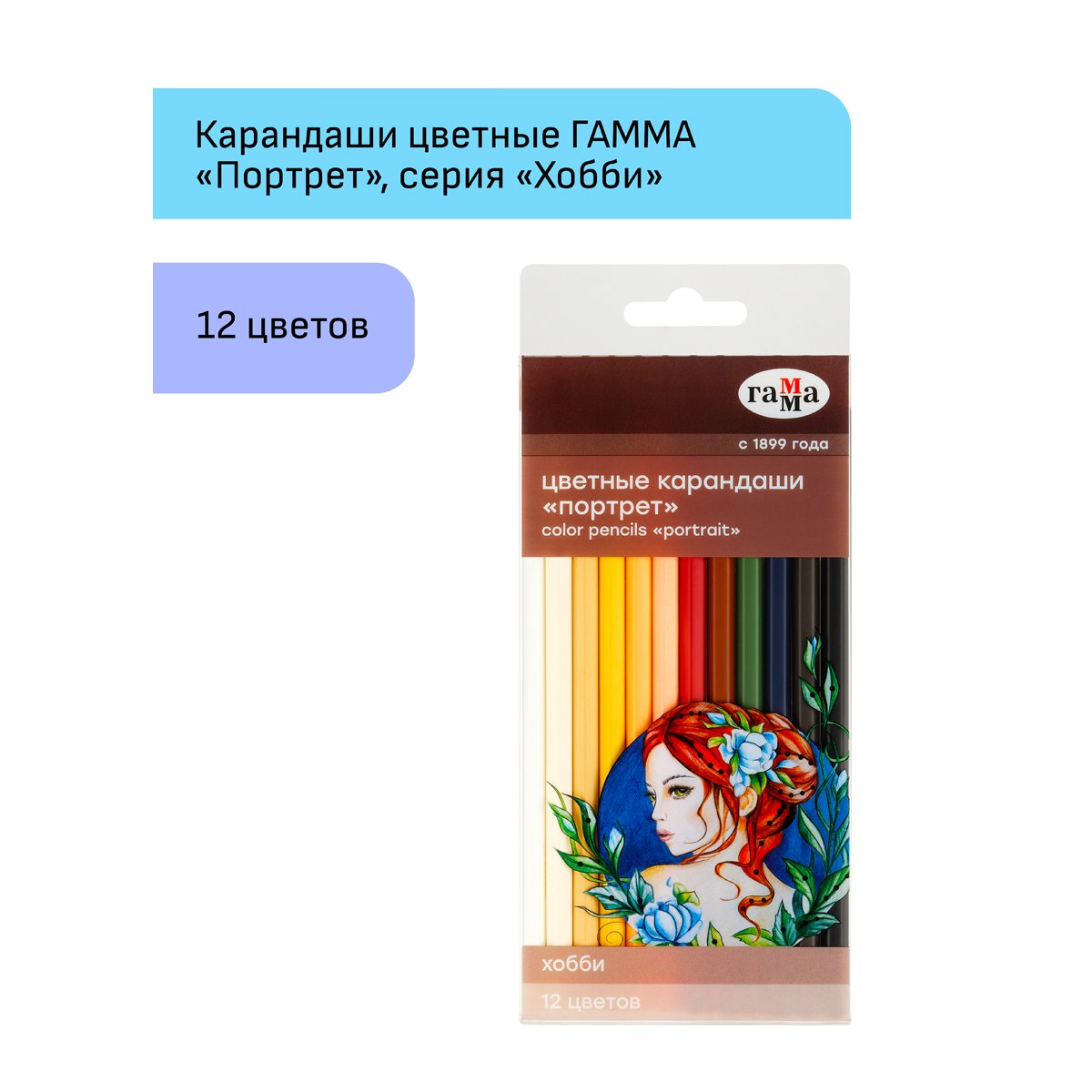 Карандаши цветные Гамма «Хобби. Портрет», 12цв., заточен., ПВХ, европодвес
