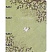 превью Тетрадь общая, BS, А5, 120л., клетка, кольца, Soul, сад N4229