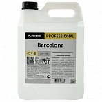 Антисептик кожный дезинфицирующий 5 л PRO-BRITE BARCELONA, готовый раствор