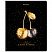 превью Тетрадь А5, 48 л., BRAUBERG, скоба, клетка, матовая ламинация, фольга, «Black&Gold»
