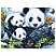 превью Картина по номерам на холсте ТРИ СОВЫ «Панды», 40×50, с акриловыми красками и кистями