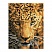 превью Алмазная мозаика ТРИ СОВЫ «Взгляд охотника», 30×40см, холст на деревянном подрамнике, картонная коробка с пластиковой ручкой