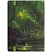 превью Записная книжка А6 80л. ЛАЙТ, кожзам, Greenwich Line «Mystical forest», с резинкой, тиснение фольгой, блок в клетку