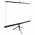 превью Экран Cactus TriExpert CS-PSTE-160×160-BK, 160×160 см, 1:1, напольный, черный