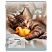 превью Тетрадь 12 л. BRAUBERG косая линия, обложка картон, CATS AND DOGS