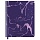 Дневник 1-11 кл. 48л. (твердый) BG «Pattern on purple», иск. кожа, тиснение фольгой, soft-touch, ляссе