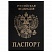 превью Обложка для паспорта STAFF, экокожа, «ПАСПОРТ», черная, 237191