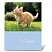 превью Фотоальбом BRAUBERG на 36 фото 10×15 см, мягкая обложка, «Котята/Щенки», ассорти