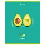 Тетрадь предметная «AVOCADO» 48 л., глянцевый лак, ГЕОМЕТРИЯ, клетка, BRAUBERG