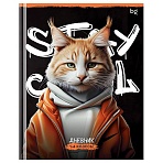 Дневник 1-4 кл. 48л. (твердый) BG «Stay cool», глянцевая ламинация