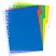 превью Разделитель листов Attache Selection А4+ пластиковый 10 листов разноцветный (цифровой)