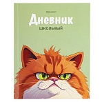 Дневник 5-11 класс 48 л., твердый, BRAUBERG, выборочный лак, с подсказом, «Суровый Кот»