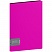 превью Папка с 40 вкладышами Berlingo «Color Zone», 21мм, 1000мкм, розовая