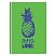 превью Скетчбук 100л. А5 7БЦ BG «Ананас», глянцевая ламинация, 100г/м2