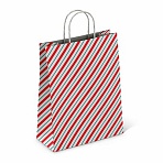 Крафт-пакет бумажный «Узкая полоса» 26×15х35 см, с кручеными ручками, плотность 100 г/м2, белый