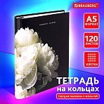 Тетрадь на кольцах А5 175×215 мм, 120 листов, твердый картон, фольга, клетка, BRAUBERG, «Bloom»