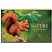 превью Альбом для рисования 40л., А4, на гребне BG «Wild nature»