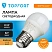 превью Лампа светодиодная TOPFORT 10 Вт E27 G 3000 К 800 Лм матовая