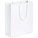 Пакет подарочный Ample M, 23×28х9см, белый, 7440.60