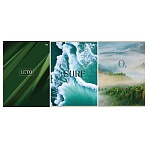 Тетрадь 48л., А4, клетка BG «Лето», эконом