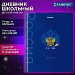 Дневник 5-11 класс 48 л., твердый, BRAUBERG, глянцевая ламинация, с подсказом, «Символика»