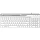 Клавиатура A4Tech Fstyler (FX50 GREY) серый USB slim Multimedia