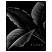 превью Тетрадь 80л., А5, клетка BG «Just Black», soft-touch ламинация, выб. лак