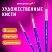 превью Кисти художественные набор 3 шт. синтетика (круглые № 46.8)BRAUBERG ART DEBUT201039