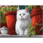 Картина по номерам на холсте ТРИ СОВЫ «Пушистый котенок», 40×50, с акриловыми красками и кистями