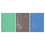 Тетрадь 96л., А4, клетка, на гребне BG «Волшебник Изумрудного города», выборочный лак