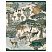 превью Тетрадь 96л., А5, клетка BG «Зов джунглей», матовая ламинация, тиснение фольгой