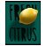превью Тетрадь 48л., А5, клетка BG «Exotic fruit», матовая ламинация, выб. лак, конгрев, с форзацем, 70г/м2